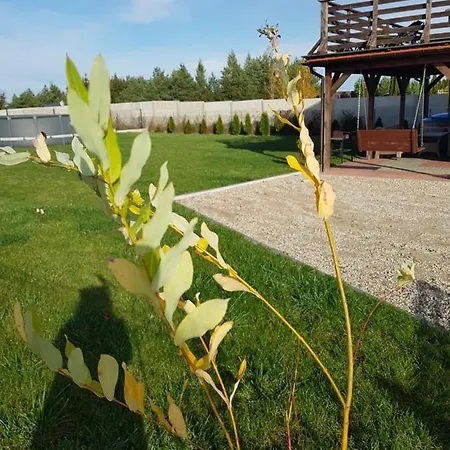 Letniskowy Amelia * Jeziorowskie